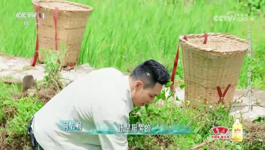 媒体：“扎胎”黑生意必须严惩,天下彩免费资料大全旧版,最新正品解答落实_网红版V9.15