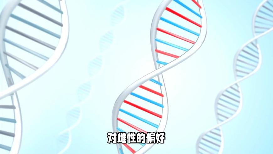 澳门平特肖风生水起网站,微信运动是很私密的东西,精准解释落实及其象征意义_游戏版V3.14