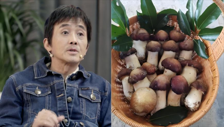 今年元宵 十五的月亮十五圆,管家婆精准资料大全免费奥门最精最准资料大全,详细释义解释落实_升级版V7.49