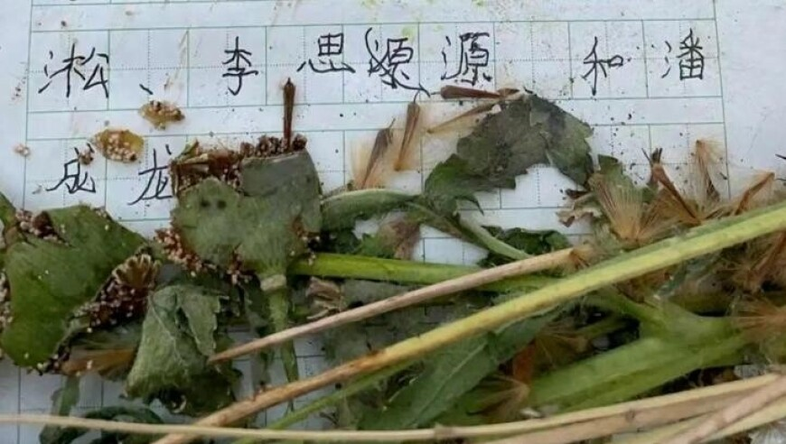 正版澳门49图库资料145期,卫星互联网技术试验卫星成功发射,决策资料解释落实_体验版V4.42